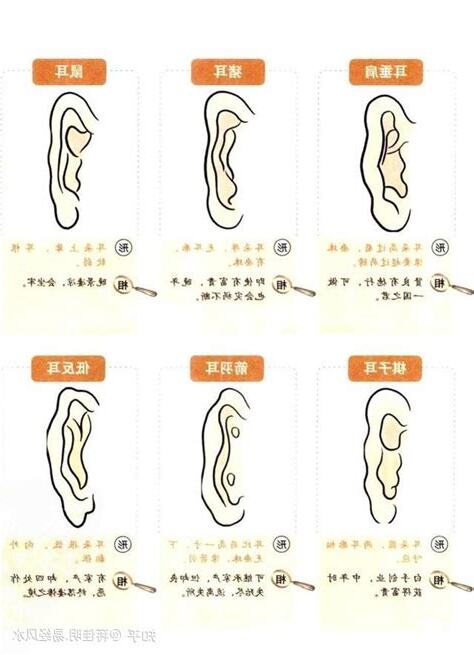 耳 五行